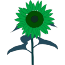 download Sunflower clipart image with 90 hue color