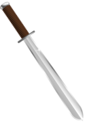 Sword