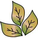 download Leaf Icon clipart image with 315 hue color