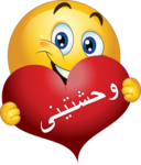 Wa7shyny Smiley Emoticon