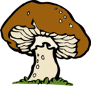 Big Mushroom