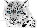 Snow Leopard