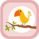 download Yellow Bird clipart image with 0 hue color