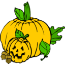 download Pumpkins Colour clipart image with 0 hue color