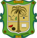 Escudo De Casimiro Castillo