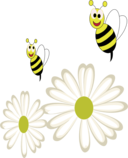 Bees Flowers