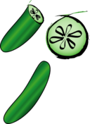 Cucumber