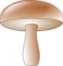 Champignon