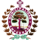 download Escudo De La Municipalidad De Empedrado clipart image with 315 hue color