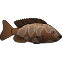 download Giraffe Cichlid clipart image with 315 hue color
