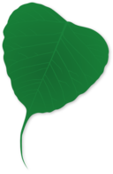 Ginko Leaf