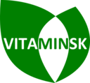 Vita Minsk