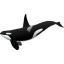 download Orca Matthew Gates R clipart image with 45 hue color