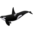 download Orca Matthew Gates R clipart image with 135 hue color