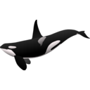 download Orca Matthew Gates R clipart image with 225 hue color