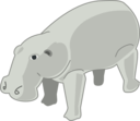 Hippopotamus