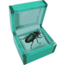 download Beetle In A Box clipart image with 135 hue color