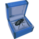 download Beetle In A Box clipart image with 180 hue color