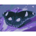 download Butterfly On Leaf clipart image with 180 hue color