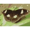 download Butterfly On Leaf clipart image with 0 hue color