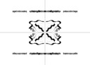 2 Fold Symmetry