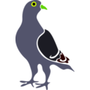 download Pigeon clipart image with 45 hue color
