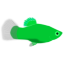 download Aquarium Fish Xiphophorus Maculatus clipart image with 135 hue color