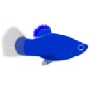 download Aquarium Fish Xiphophorus Maculatus clipart image with 225 hue color