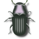 download Pine Beetle clipart image with 90 hue color