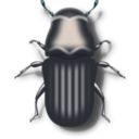 download Pine Beetle clipart image with 180 hue color