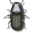 download Pine Beetle clipart image with 0 hue color
