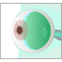 download Eye clipart image with 135 hue color