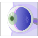 download Eye clipart image with 225 hue color