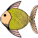 download Tropical Fish clipart image with 0 hue color