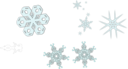 A Snowflake