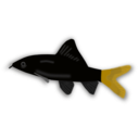 download Aquarium Fish Epalzeorhynchos clipart image with 45 hue color