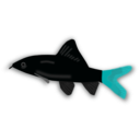 download Aquarium Fish Epalzeorhynchos clipart image with 180 hue color