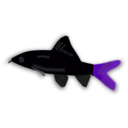 download Aquarium Fish Epalzeorhynchos clipart image with 270 hue color