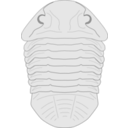 download Trilobite Asaphus clipart image with 180 hue color