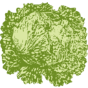 download Lettuce clipart image with 0 hue color