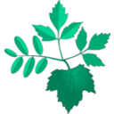 download Leaves clipart image with 90 hue color