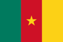 Flag Of Cameroon