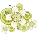 download Flowers Of Blackthorn clipart image with 0 hue color