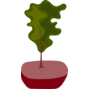download Tree In Pot clipart image with 315 hue color