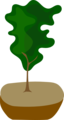 Tree In Pot
