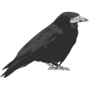 download Raven clipart image with 0 hue color