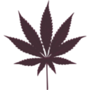 download Cannabis Leafs clipart image with 225 hue color