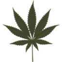 download Cannabis Leafs clipart image with 315 hue color