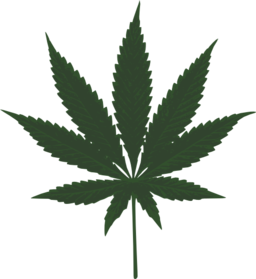 Cannabis Leafs