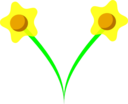 Daffodil